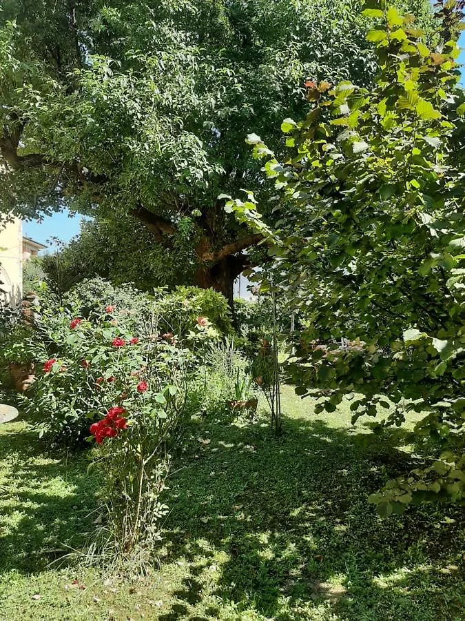 Antica Fattoria La Verdina Camaiore 0*,  Italia