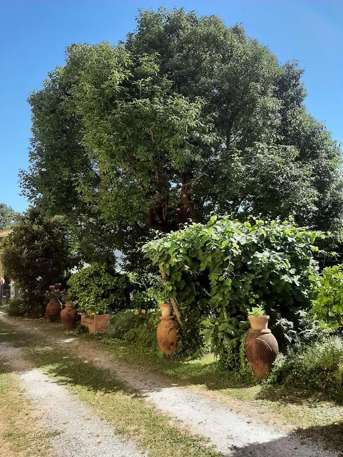 Antica Fattoria La Verdina Camaiore