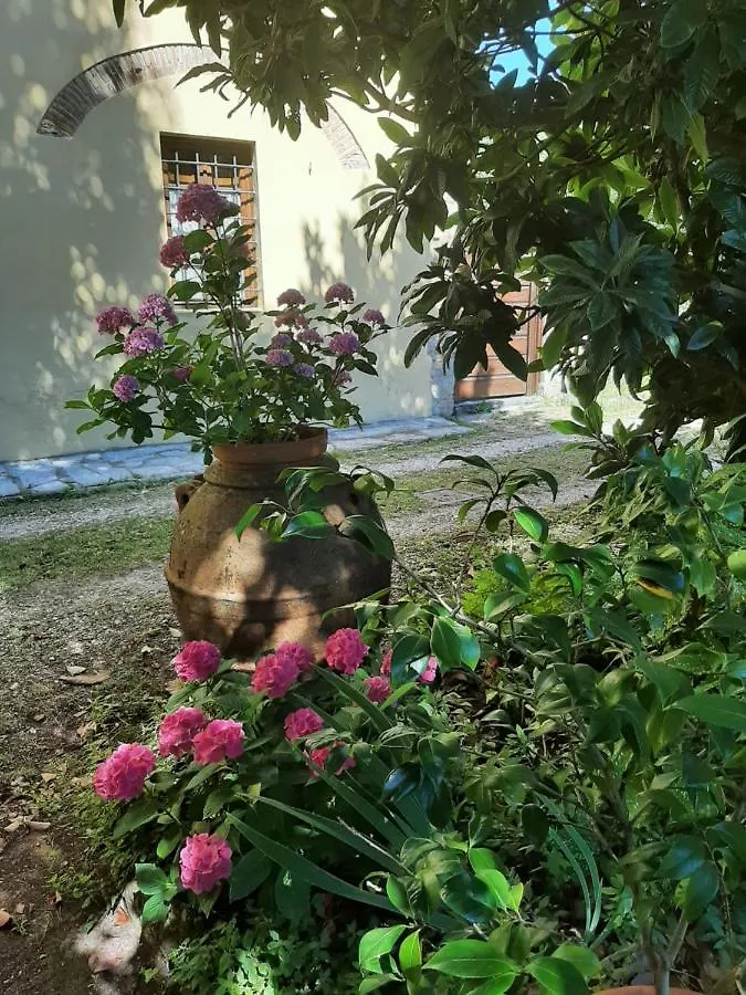 Antica Fattoria La Verdina Camaiore